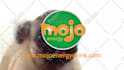 make a pug lick your logo or text only
