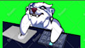 make a custom bongo cat cam for you