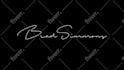 create amazing handwritten signature animation