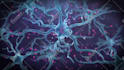 do 3d medical animation