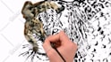 do a speed drawing animation video of your logo or any image