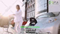 provide professional video editing and creation