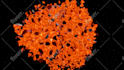 create colorful dynamic 3d object, scene, or animation