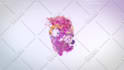 create colorful splash logo animation within 24 hours