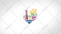 create a high quality, custom logo animation