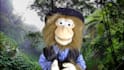 have old man monkey create a custom puppet video