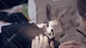 create cinematic trailer, teaser, and opener video
