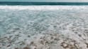 write your message creatively on a beach as  video or photo