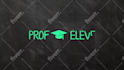 create a professional 2d custom logo animation