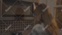 do professional screen replacement wire removal vfx cleanup