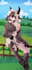 animated wallpaper with your character