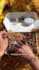 create social media content and ugc videos