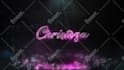 create custom signature logo reveal animation