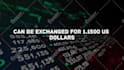 edit crypto, stocks and forex trading video for youtube
