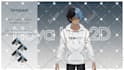 create professional live2d rigging for your vtuber model