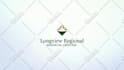 create professional logo video animation and youtube intro