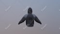 do a 3d clothing mock up