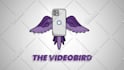 create a professional logo animation for intro or outro youtube HD 4k