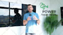 expert in removing green screen, rotoscoping, and any background replacement