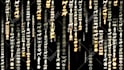 do matrix running code logo animation