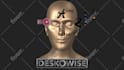 make best 3d character model, rig and basic animate