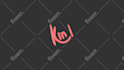 do custom logo animation, 2d reveal, intro, and outro