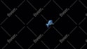 remove background from video, rotoscoping