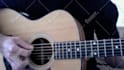 give you a beginners GUITAR video lesson