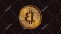 create forex trading reels and youtube shorts from live