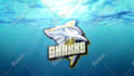 do water splash logo animation video intro