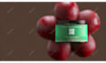 create photorealistic 3d animation of your product