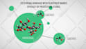 create a captivating 2d animation explainer video