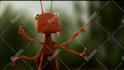 do a funny ants promo