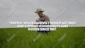 create an amazing website or app promo video