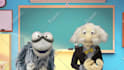 record a doctor or professor puppet video about anything