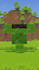 do a professional level minecraft animation