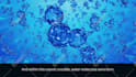 create a science or an educational video