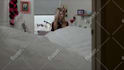 do this funny airplane jump short video ad in 6 hrs