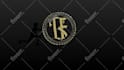 do unique custom logo animation or youtube intro