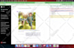 develop chrome extensions, build automation system