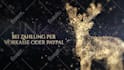 do anything in adobe after effects