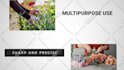 create video for amazon shopify store to boost sales