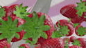 do 3d product animation