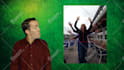 do Anything On Green Screen And MORE