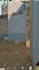 professional shorts editing for facebook, instagram, youtube in 24 hours
