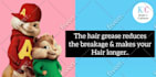sing your message as chipmunk