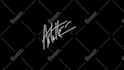 animate your handwritten signature style logo