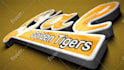 make 3d logo animation intro and outro video