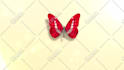 create butterfly logo  intro animation in HD