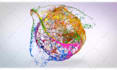 create a full HD colorful paint effects logo reveal